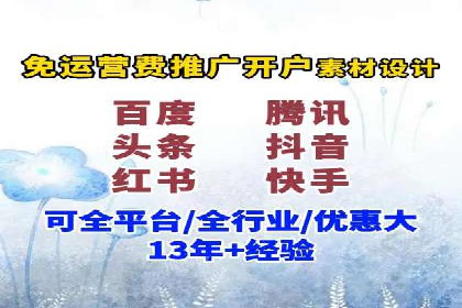 竞价广告与自然搜索的结合策略：XX网站的案例分析
